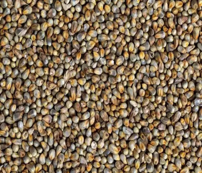Agricultural product sourcing